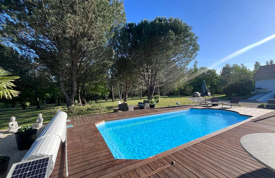 Les Pins Perdus-1