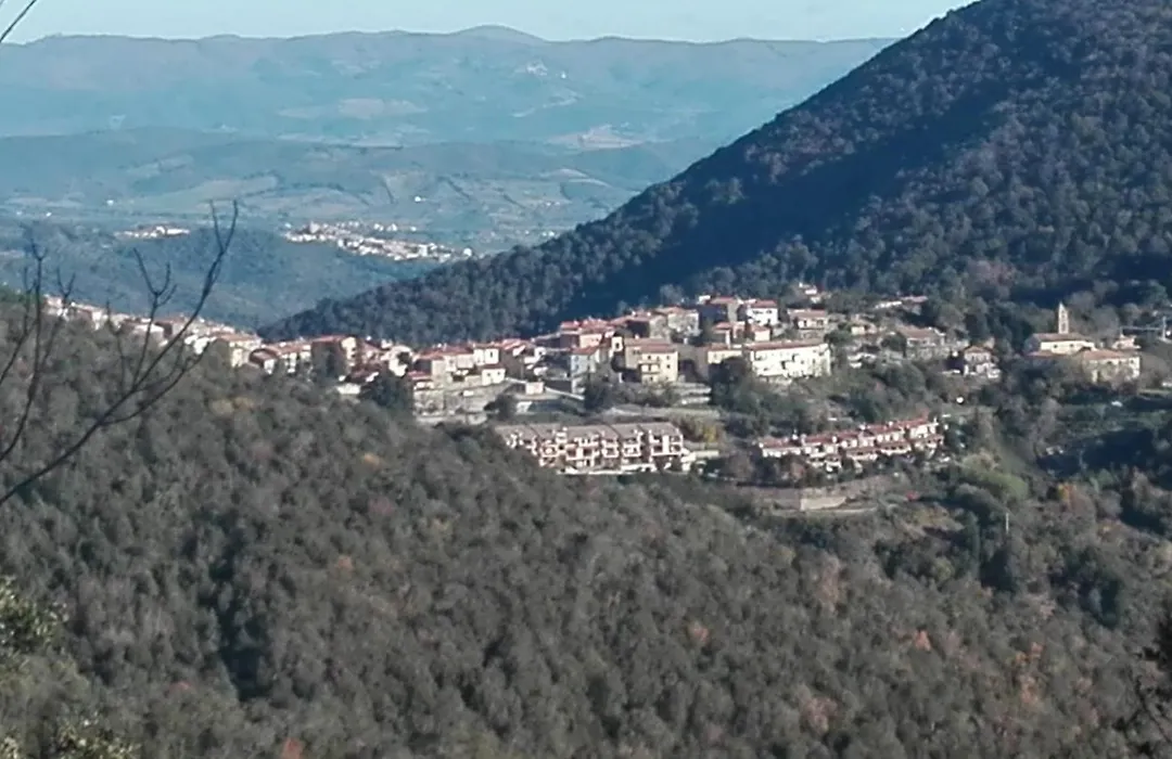 Alla Meria-1