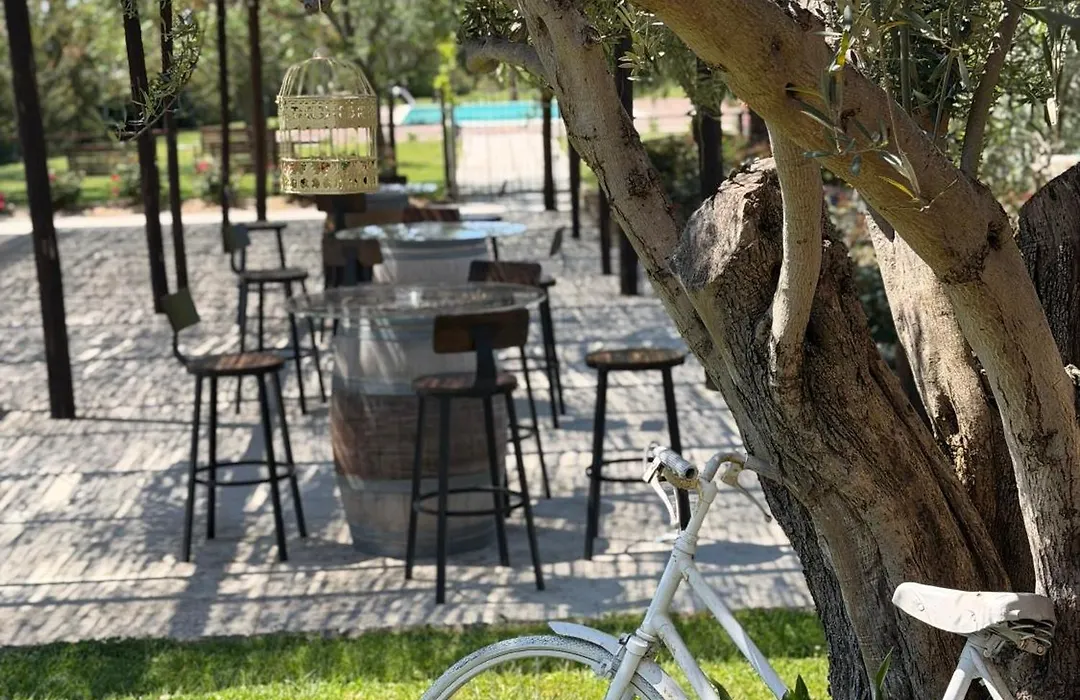 B&B Terre di Paestum-1