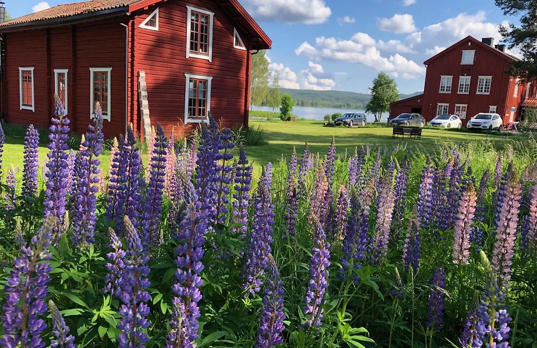 The Lodge Torsby-1