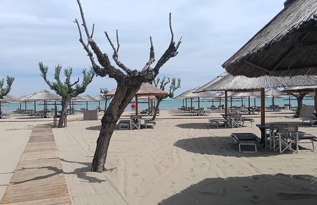 B&B San Francesco Pescara Centro-1