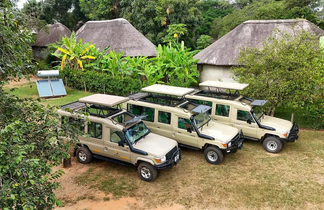 Wild Dogs Lodge-1