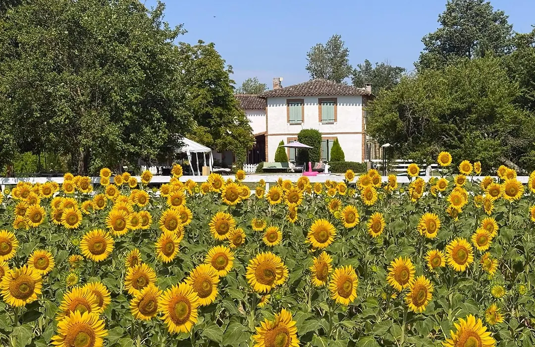 residence la Salamandre kamers-1