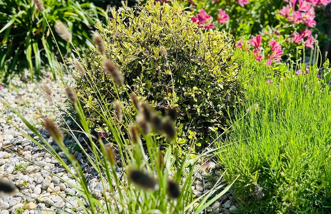 La Cabine côté mer et côté jardin à la VILLA PLEIN VENT-1