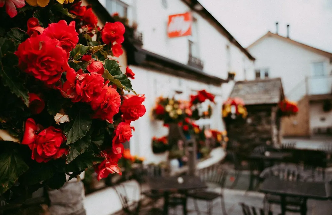 The Wilson'S Arms-1