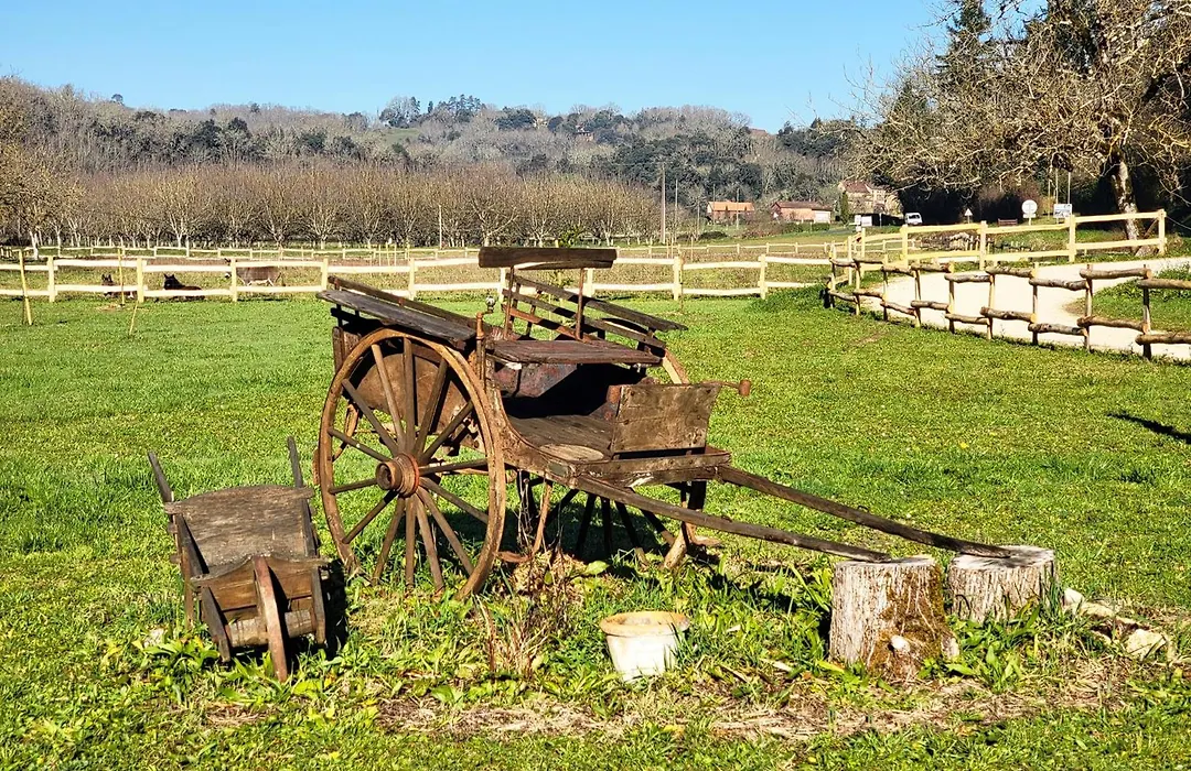 Le Clos des Elfes-1