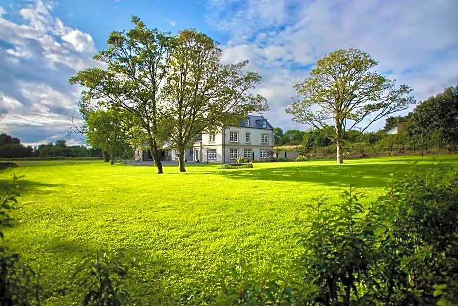 Bailey'S Court, Guest Accommodation-1
