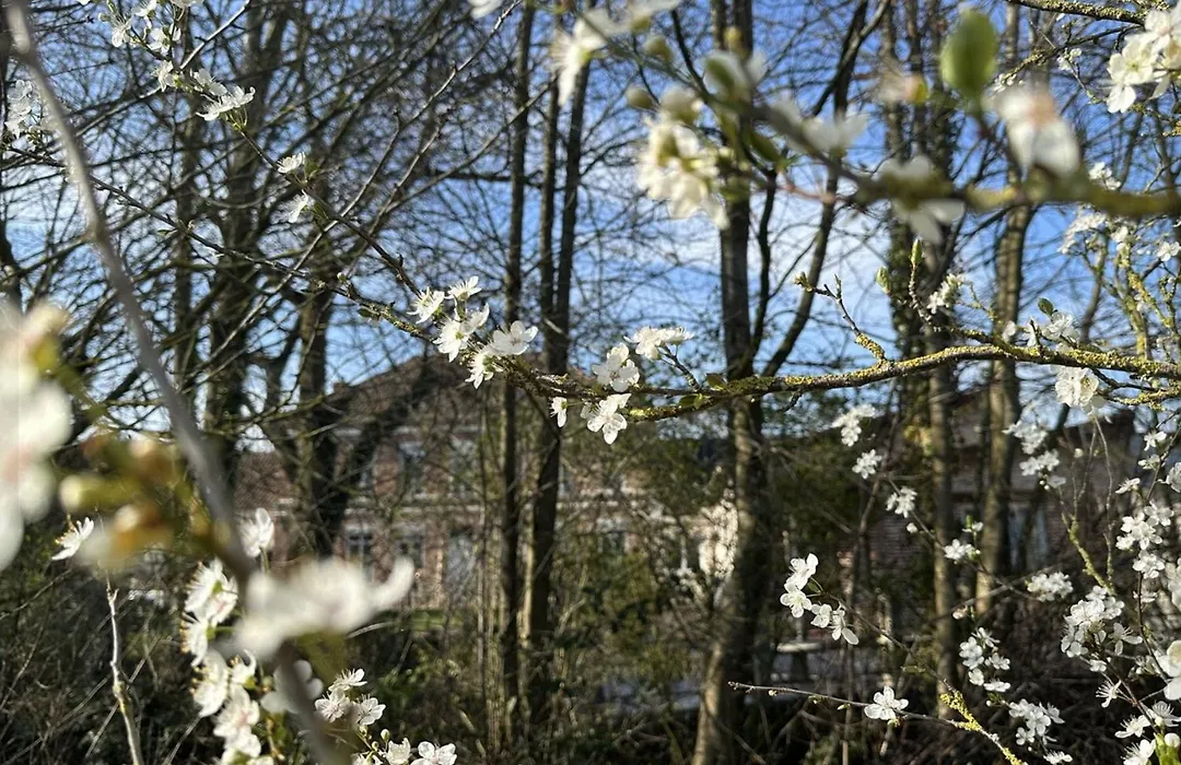 Le Domaine De La Bergerie-1