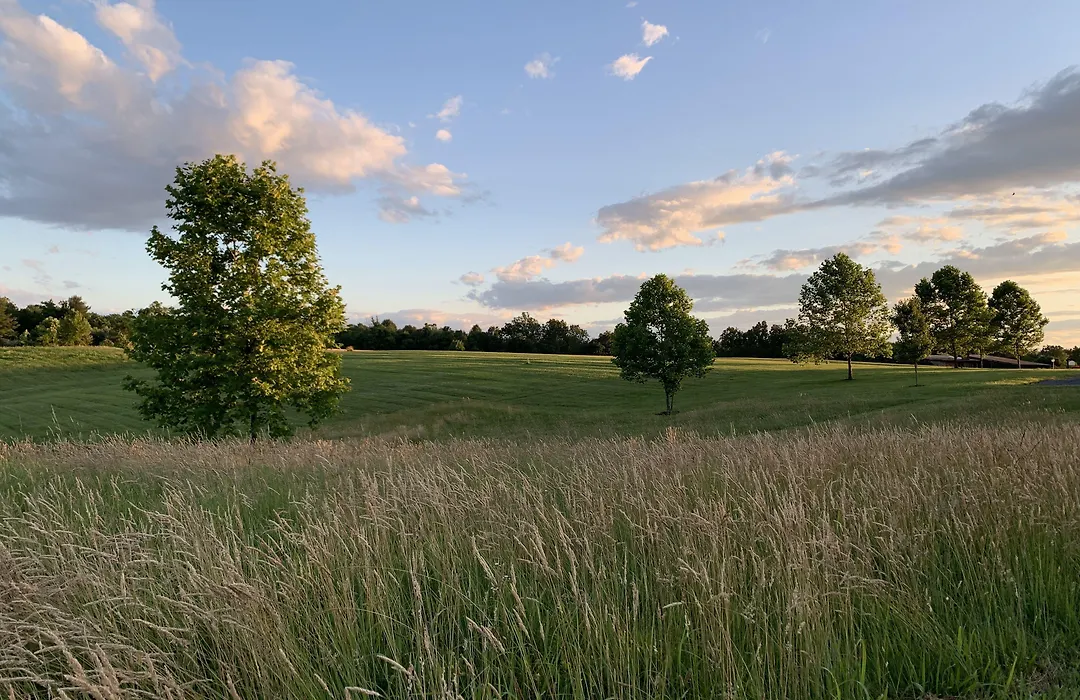 Loudoun Valley Manor B&B-1