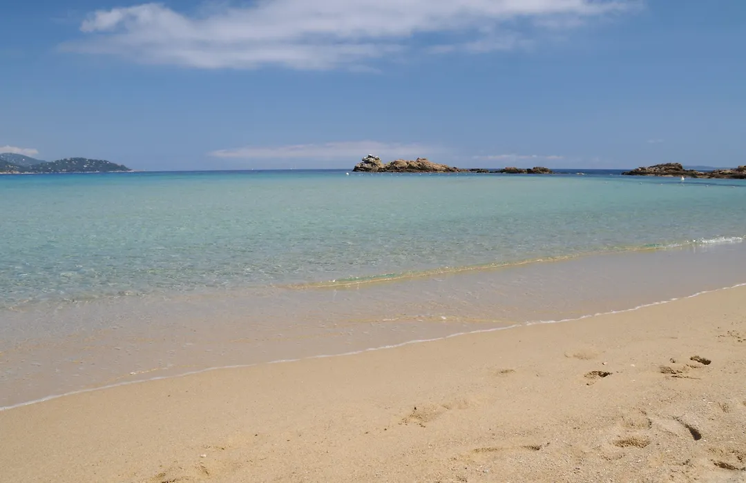 Villa Thalassa Art' B&B-1