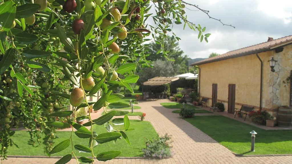 Podere Turicchio-1