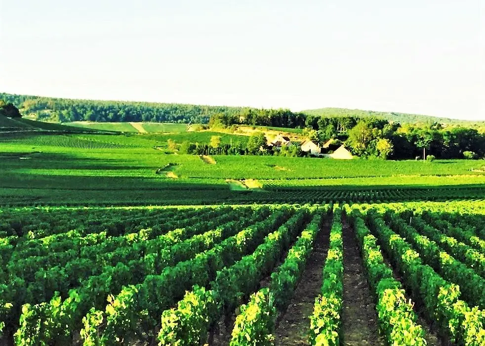 Domaine Pont Juillet-1