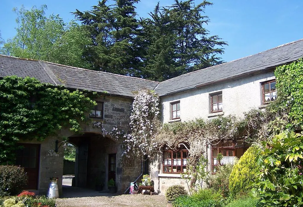 Ballinacourty House B&B-1