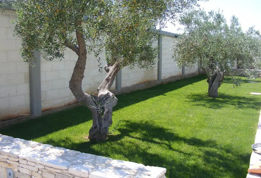 B&B Freezone-1