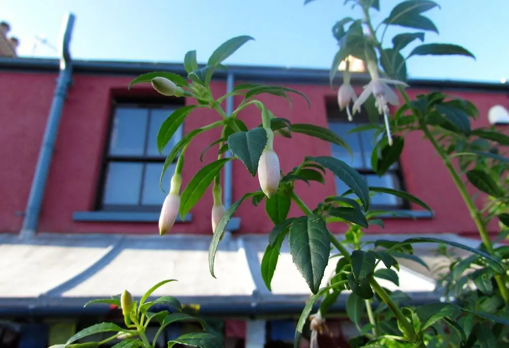 Western House-1