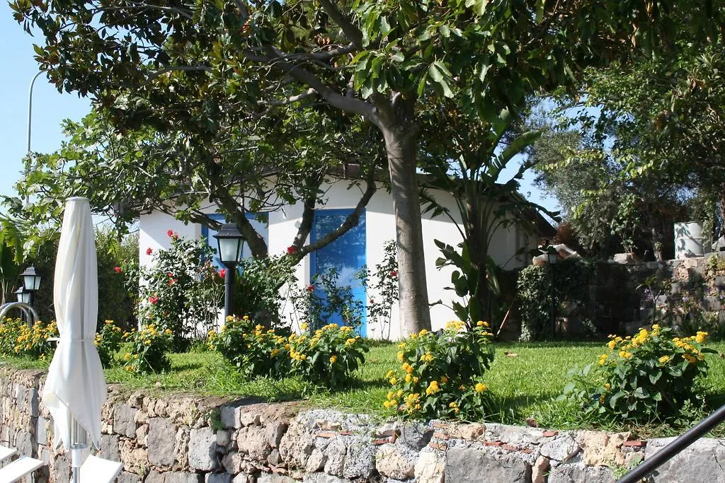 Avocado B&B Beyond-1