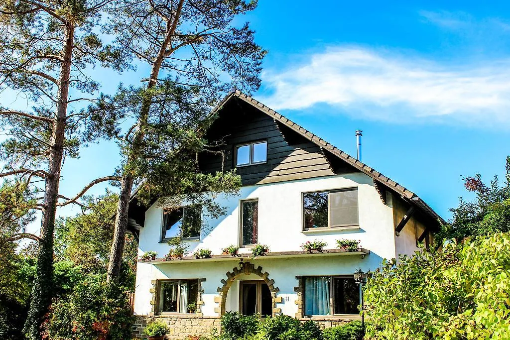 Villa Kakelbont Borgloon-1