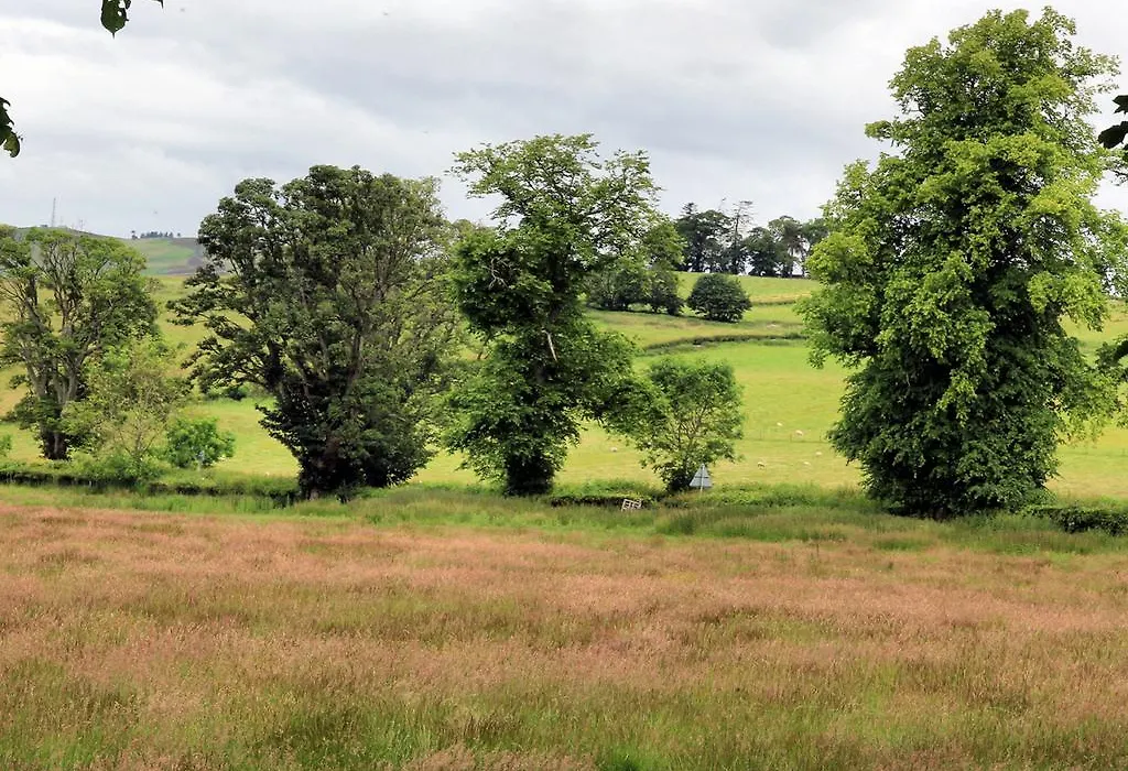 Westacre Bed & Breakfast-1