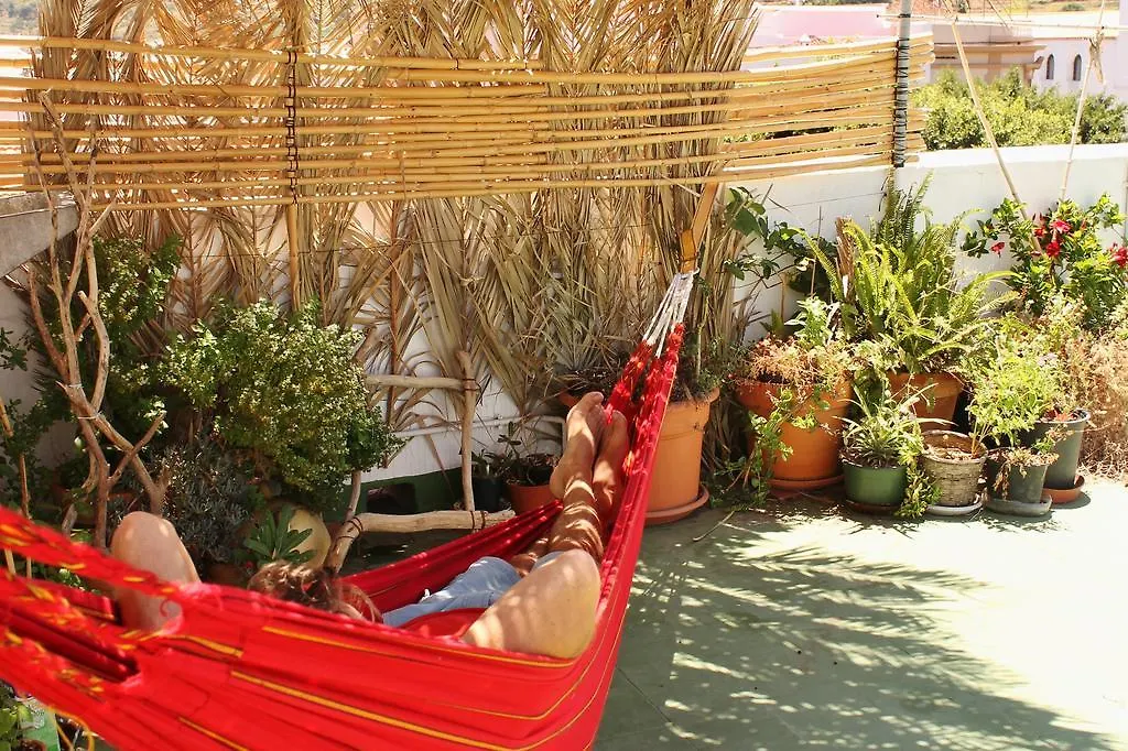 Casa La Ranita - Ecohostal-1