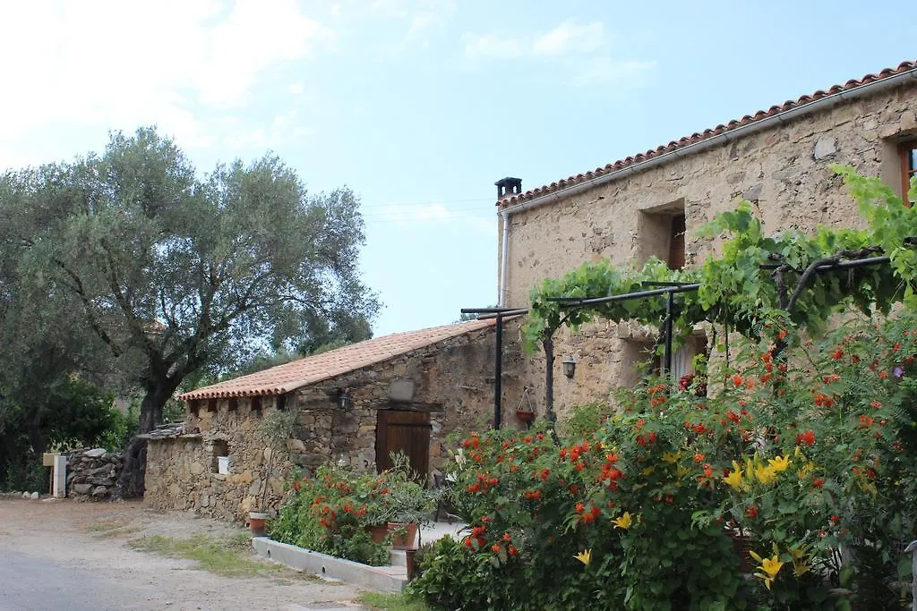 B&B Pietra-Monetta-1