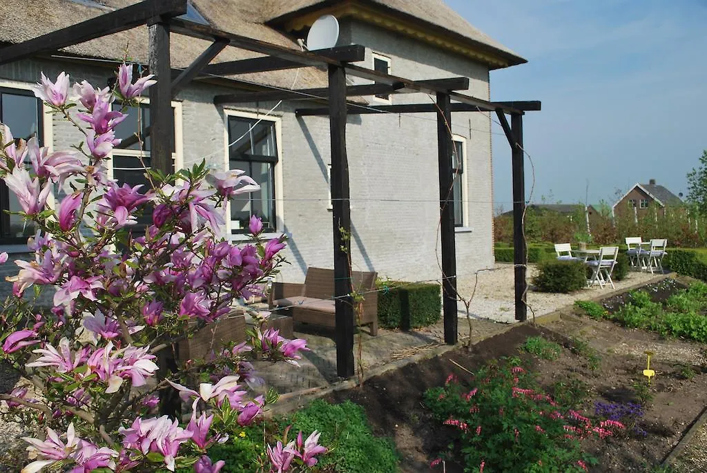 B&B Snellenstein-1