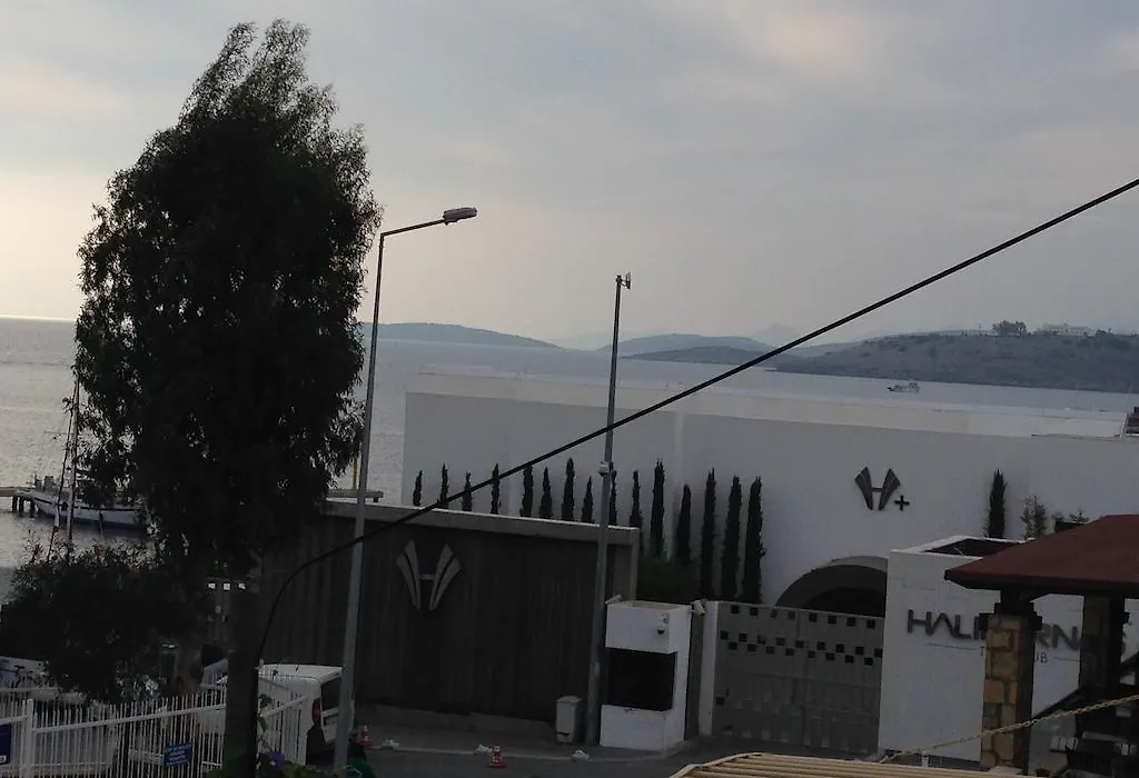 Pasha Motel-1