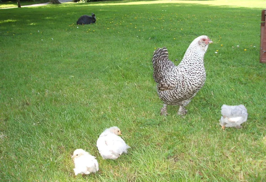 Green Bank Farmhouse-1
