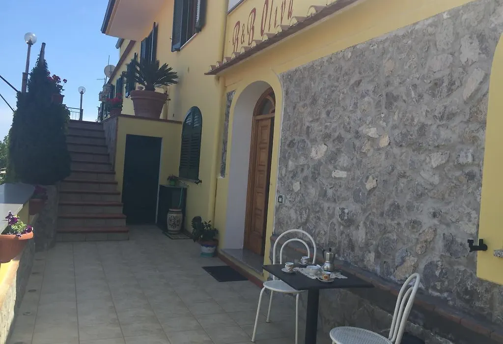 B&B Oliva-1