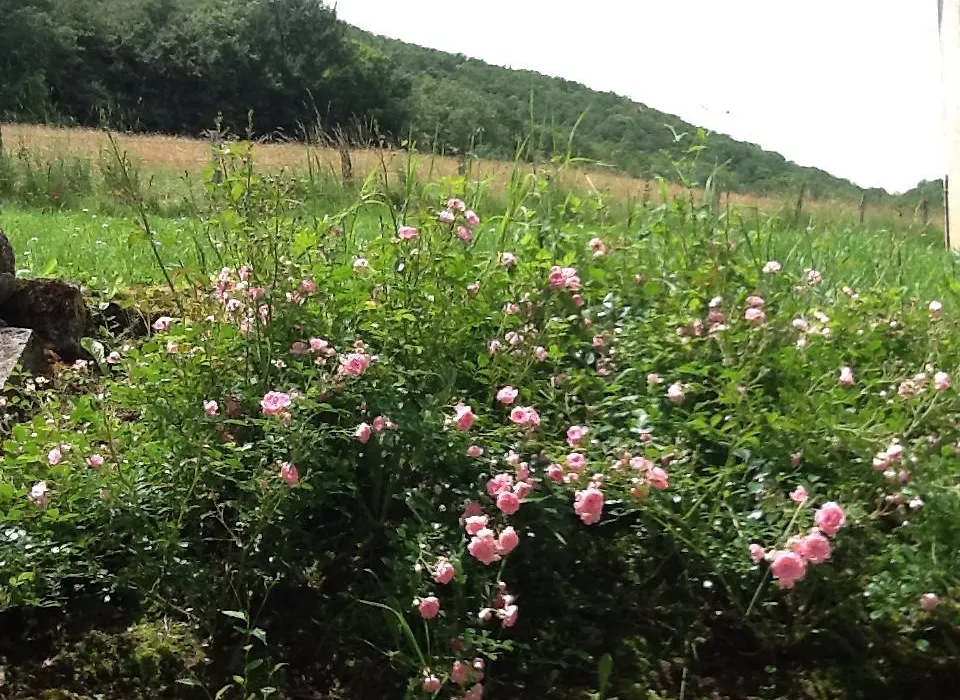 Domaine La Rose-1