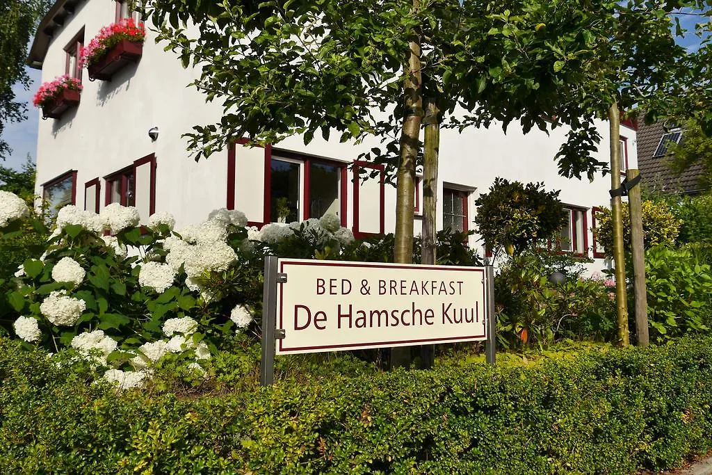 Bed And Breakfast De Hamsche Kuul-1