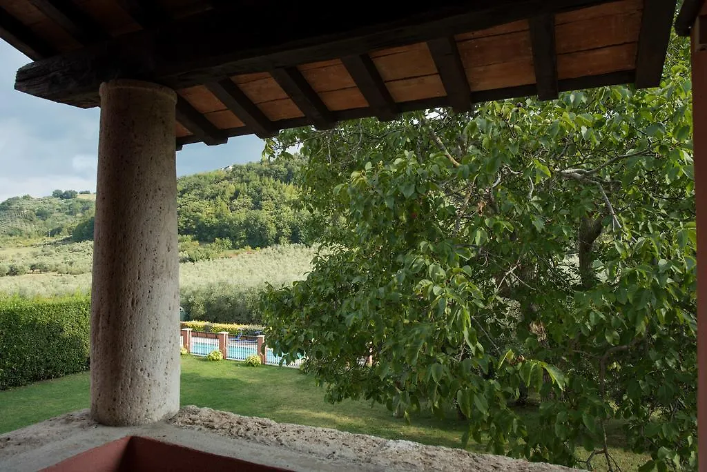 Il Casale Degli Ulivi B&B-1