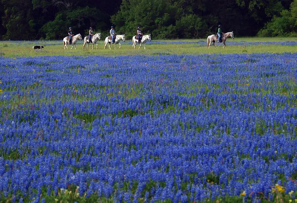 Blisswood Bed And Breakfast Ranch-1