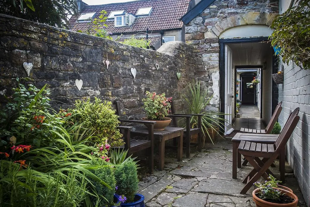 The Moda House-1