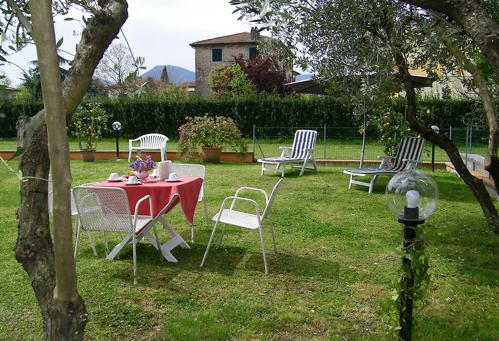 Triolivo B&B-1