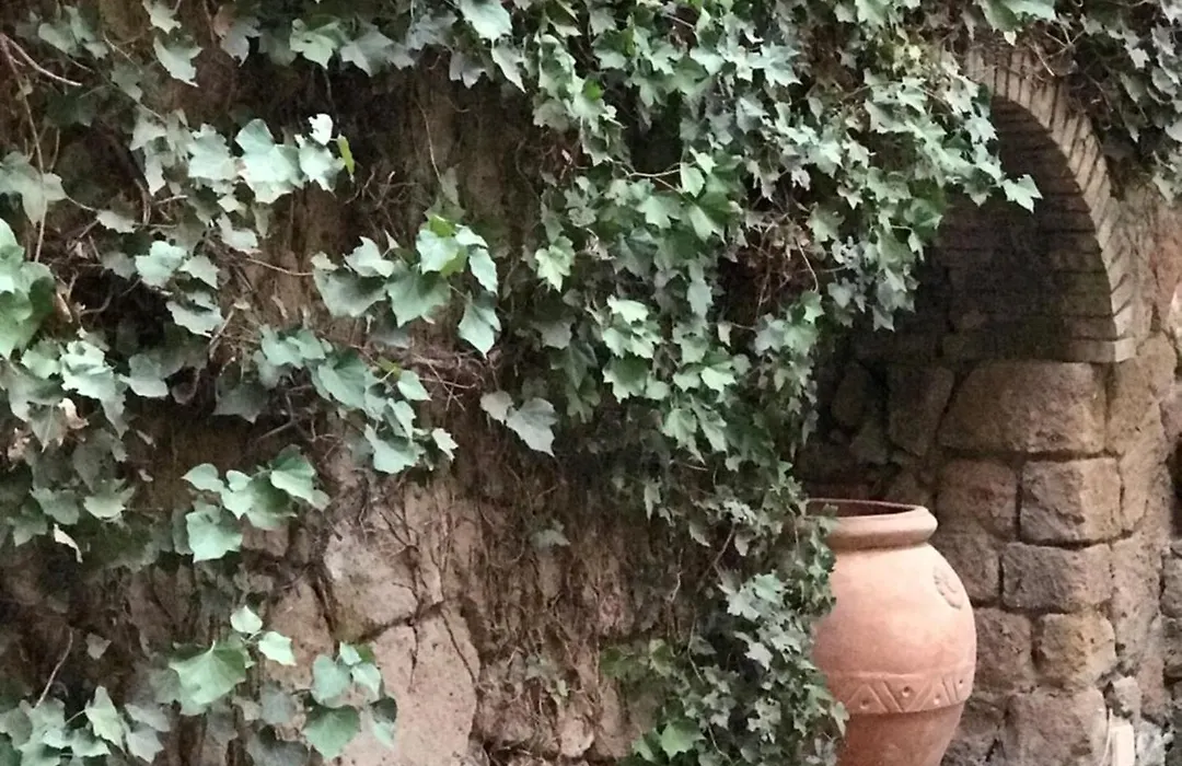 Princess B&B Frascati-1