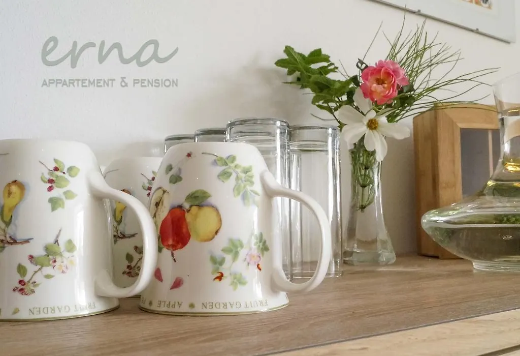 Pension Apartment Erna-1