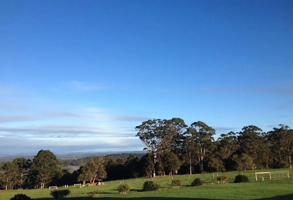 Sensational Heights Bed & Breakfast-1