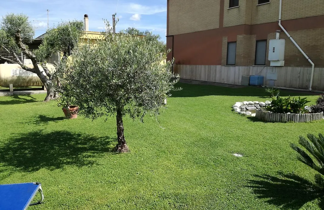 B&B Casa degli Ulivi-1
