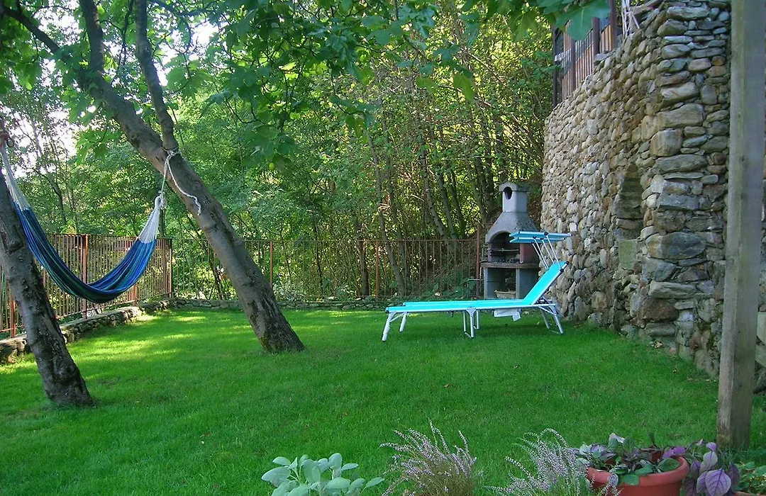 B&B Al Carotin-1