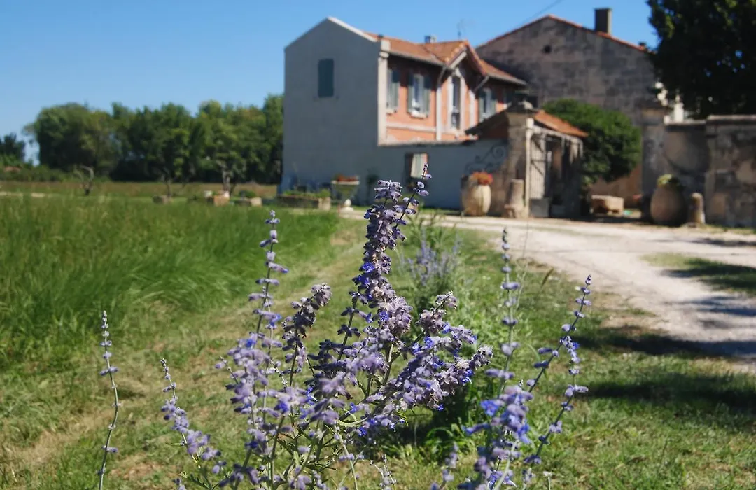 Le Mas Marguerite-1