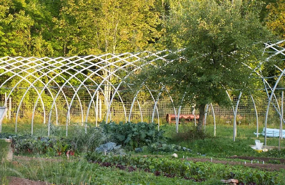 Green Dragon Organic Farm And B&B-1