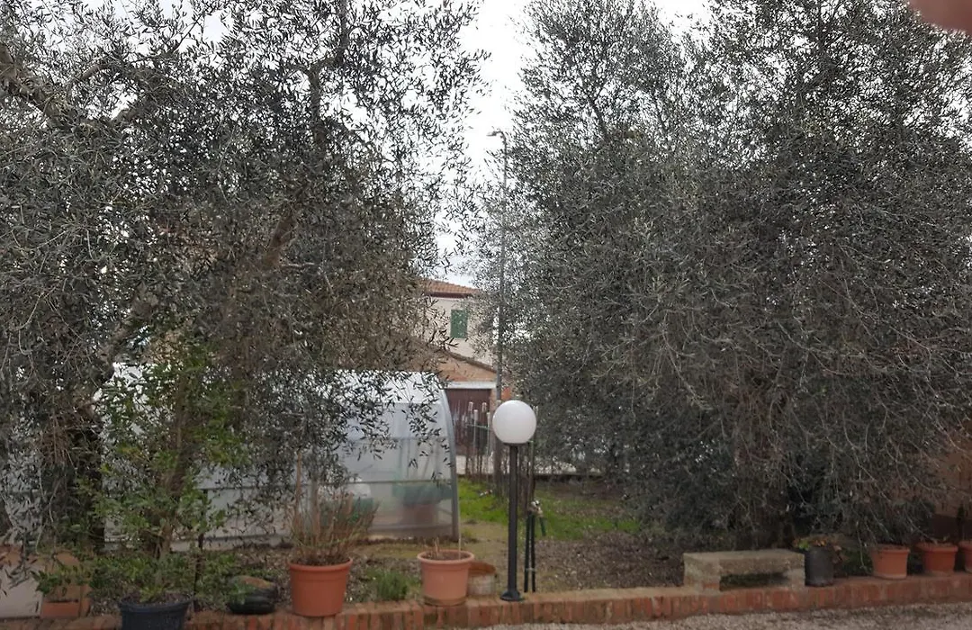 Orto degli Ulivi-1