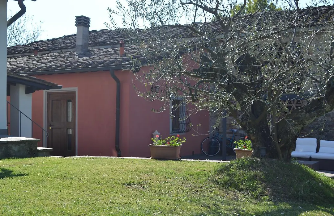 Alla Corte di Carla-1