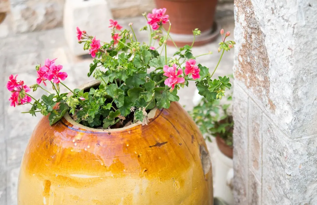 B&B Giardino Segreto-1