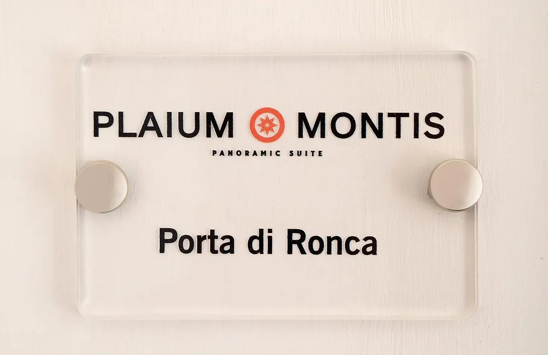 Plaium Montis-1