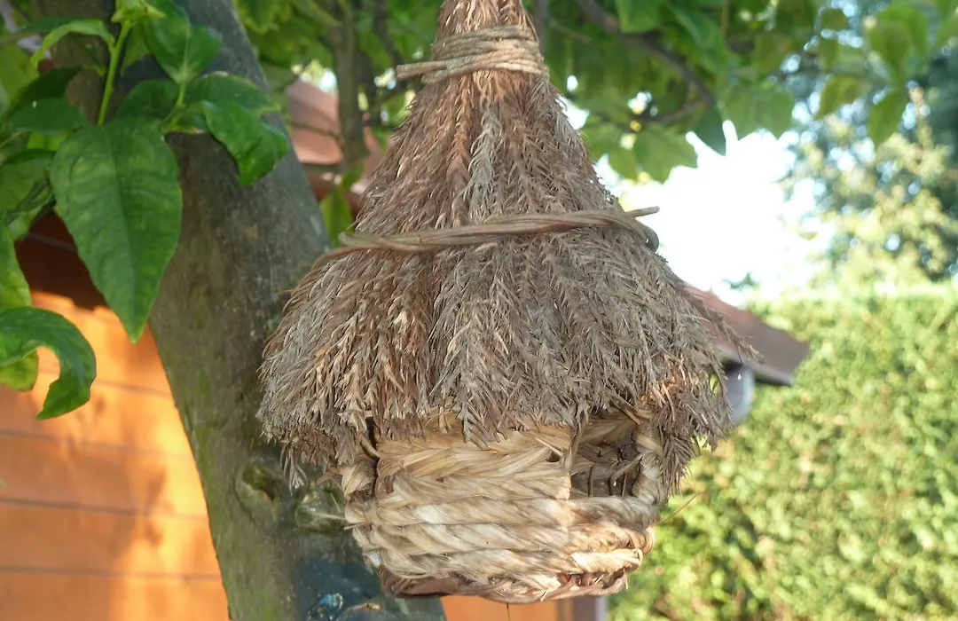 'O Chalet-1
