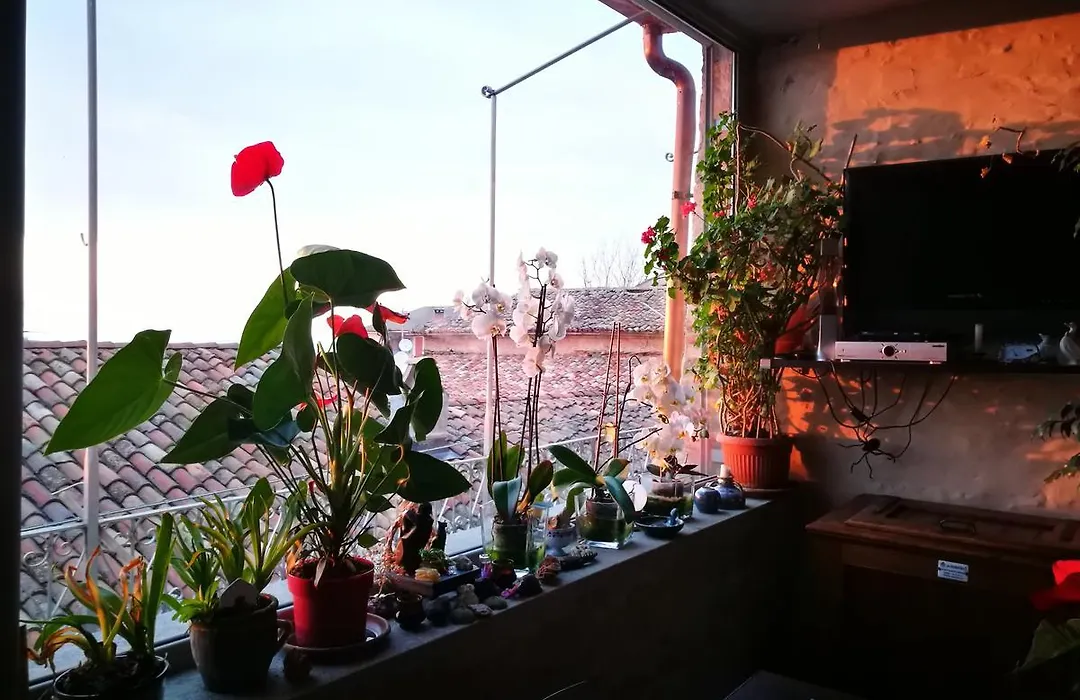 Casaforte Alba In Langa-1
