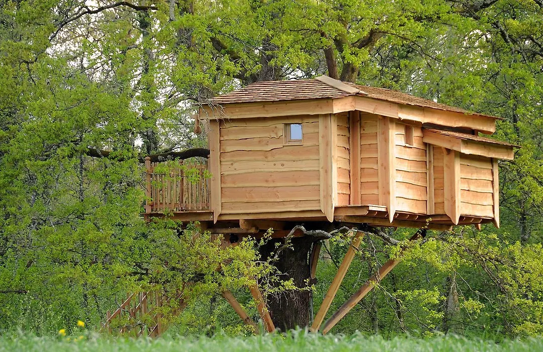 La Cabane du Vieux Chêne-1