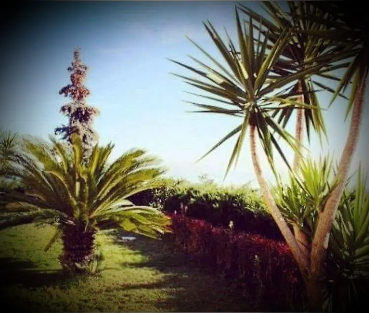 B&B Villa Floriana-1