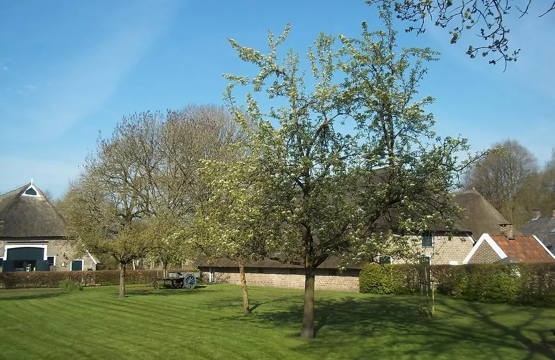 B&B Slaoperij-1
